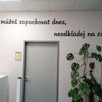 Rčení Co můžeš zapackovat dnes, neodkládej na zítra, vyřezané z černé plotrové folie, nalepené na bílé stěně, šedé dveře, zelená rostlina, informační tabulka s logem DHL